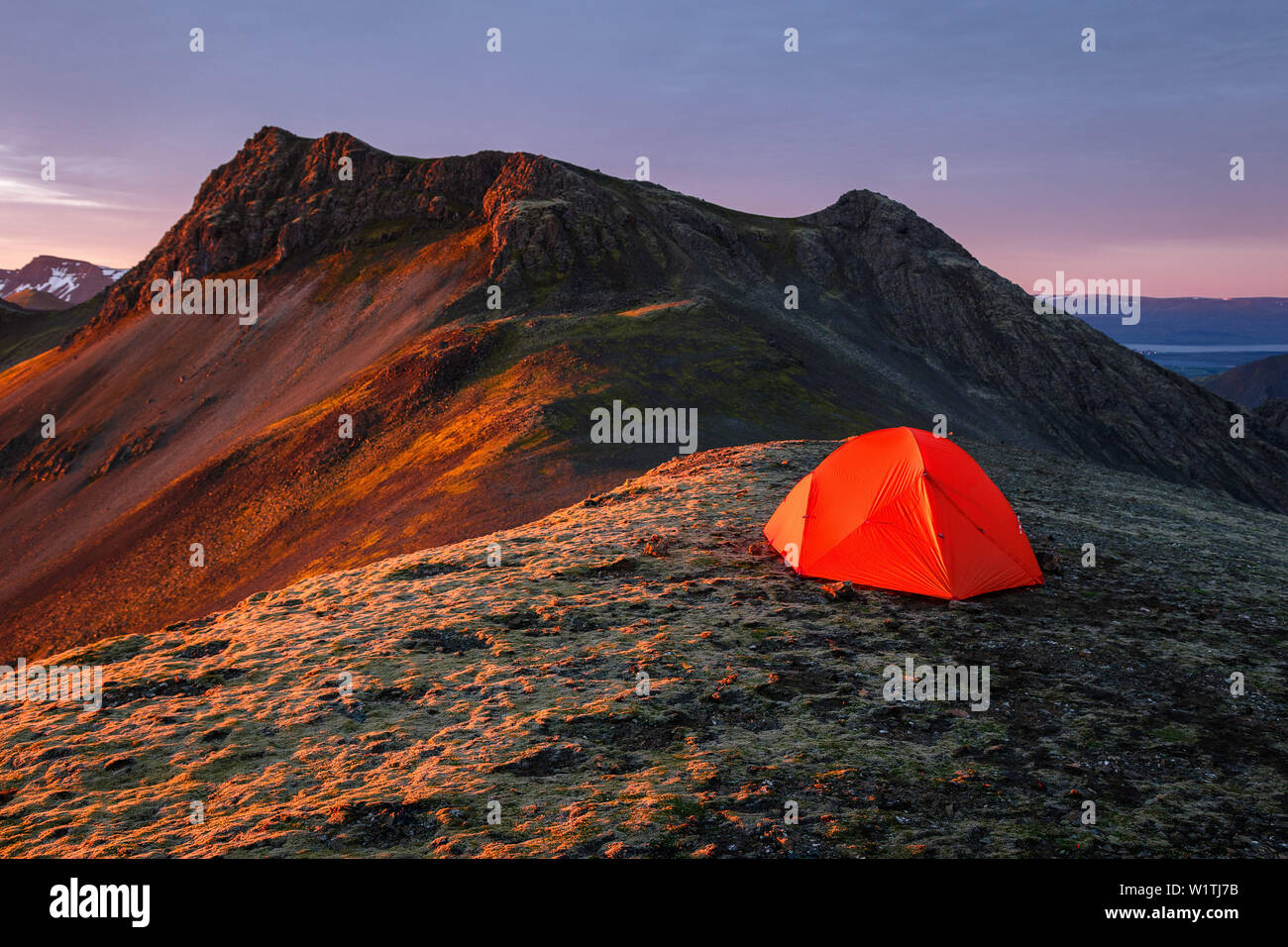 Orange tente sur une crête de montagne dans la chaude lumière du matin du soleil levant, Hofn, Islande, Vesturland Banque D'Images