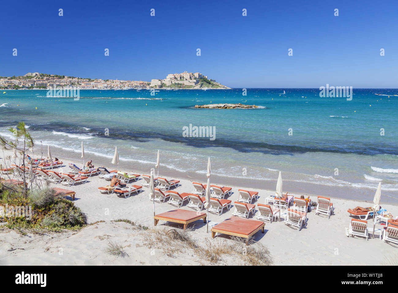 Voir à partir de la plage à la citadelle de Calvi, Corse, France du Sud, France, Europe du Sud Banque D'Images