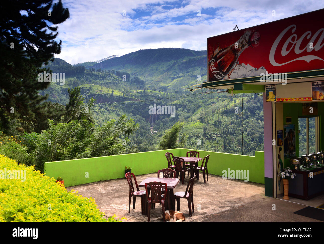 Dans les montagnes près de Nuwara Eliya, Sri Lanka Banque D'Images