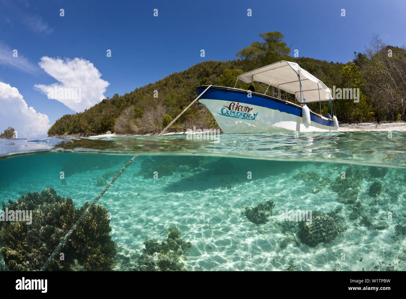 Plongée sous-marine Voile Papouasie-nouvelle-explorateurs Resort, Raja Ampat, Papouasie occidentale, en Indonésie Banque D'Images
