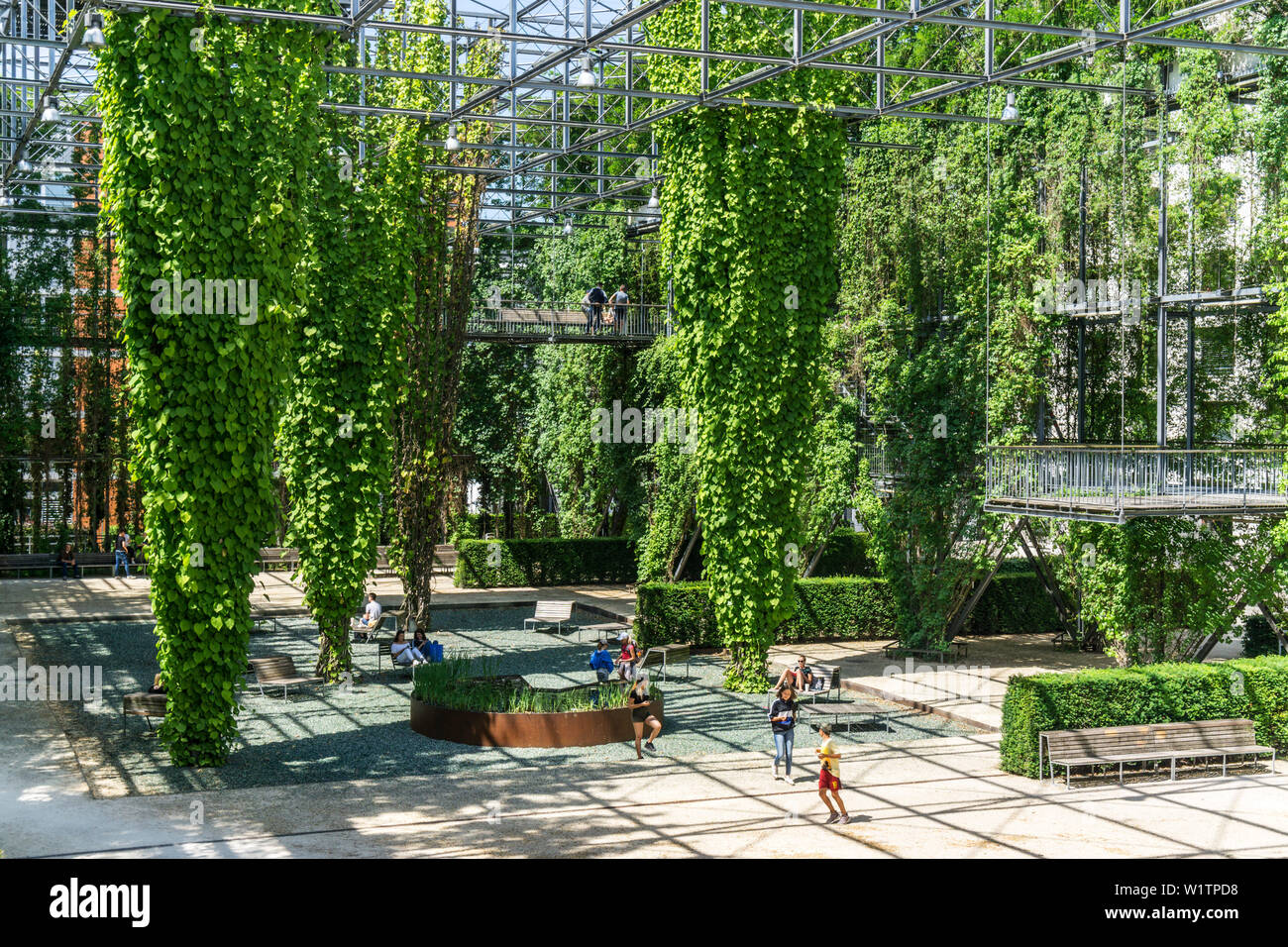 MFO Park, parc public de l'ex-Maschinenfabrik Oerlikon (MFO) , plantes grimpantes, cadre d'acier, Zurich, Suisse Banque D'Images