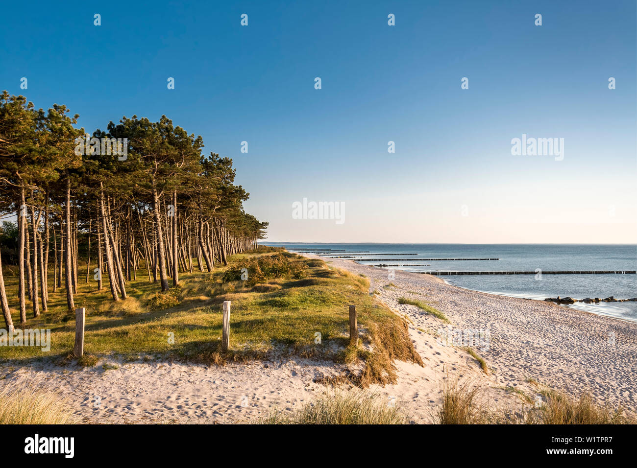 Plage, ( Gellen, l'île de Hiddensee, Mecklembourg-Poméranie-Occidentale, Allemagne Banque D'Images