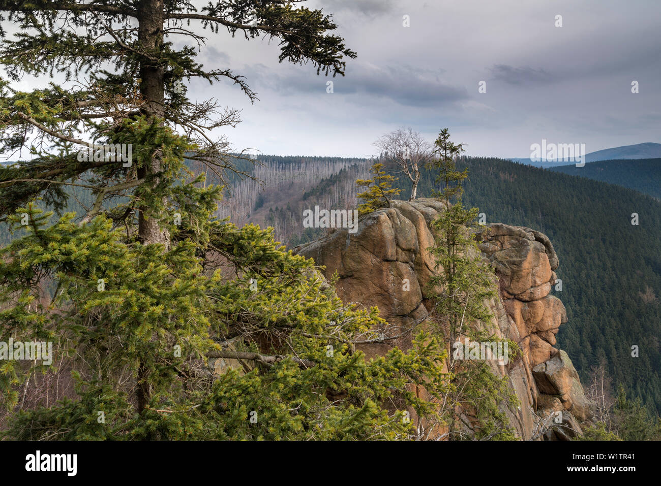 Raven Cliff, Bad Harzburg, district de Goslar, Parc National de Harz, Basse-Saxe, Allemagne, Europe Banque D'Images Raven Cliff, Bad Harzburg, district de Goslar, Parc National de Harz, Basse-Saxe, Allemagne, Europe Banque D'Images