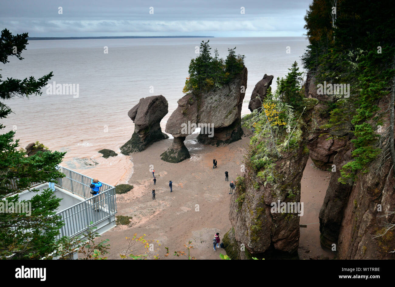 Hopewell Rocks, près de Moncton, Nouveau-Brunswick, Canada Banque D'Images