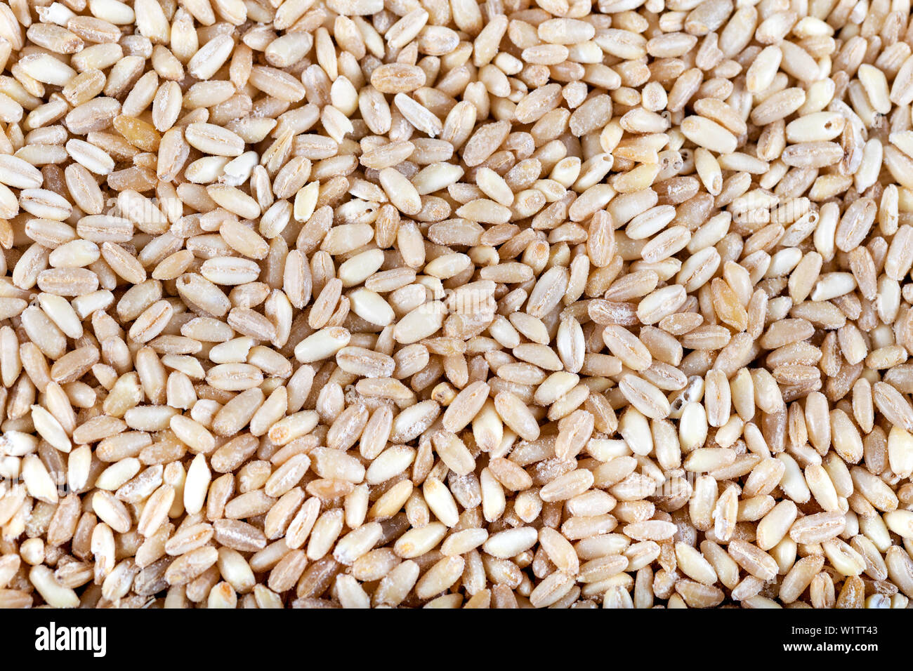 Les grains de blé, d'arrière-plan Banque D'Images
