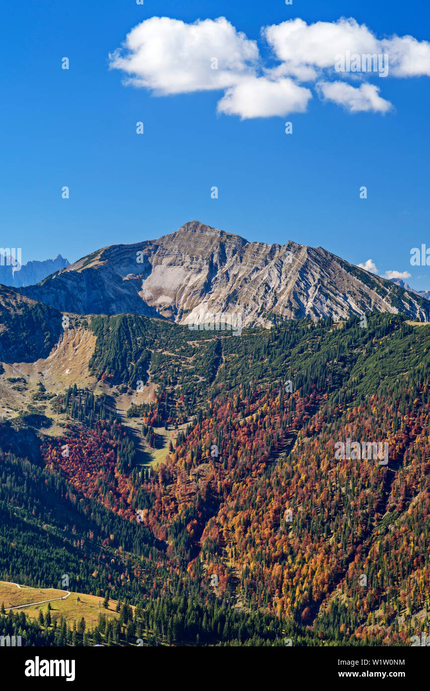 Schafreiter avec forêt en automne les couleurs, d'Demeljoch, Karwendel, Haute-Bavière, Bavière, Allemagne Banque D'Images