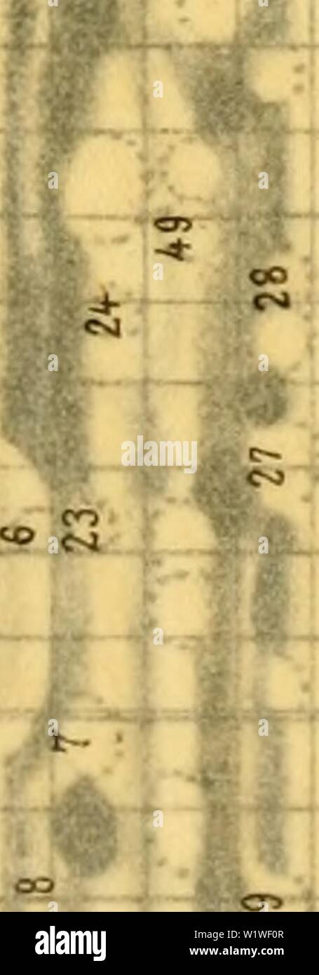 Dj T O M Banque D Image Et Photos Alamy