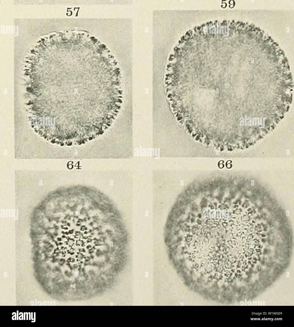 41 Ff Banque D Image Et Photos Alamy