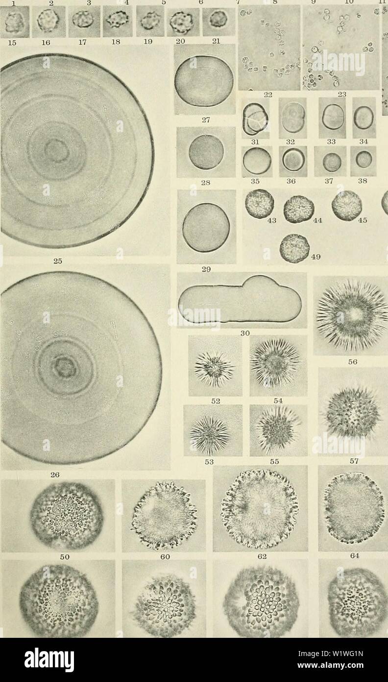 41 Ff Banque D Image Et Photos Alamy