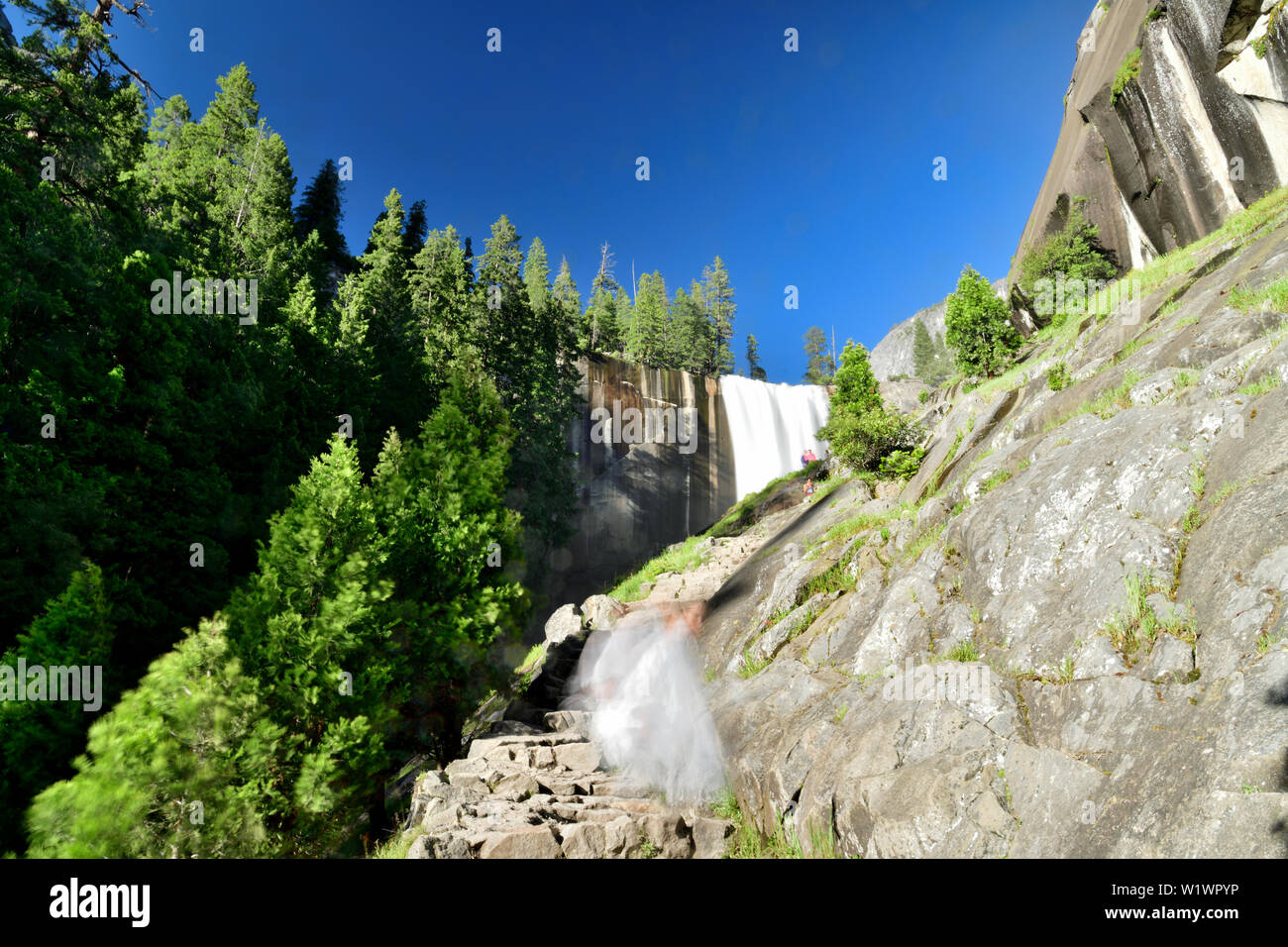 L'Automne au Parc National de Yosemite Banque D'Images