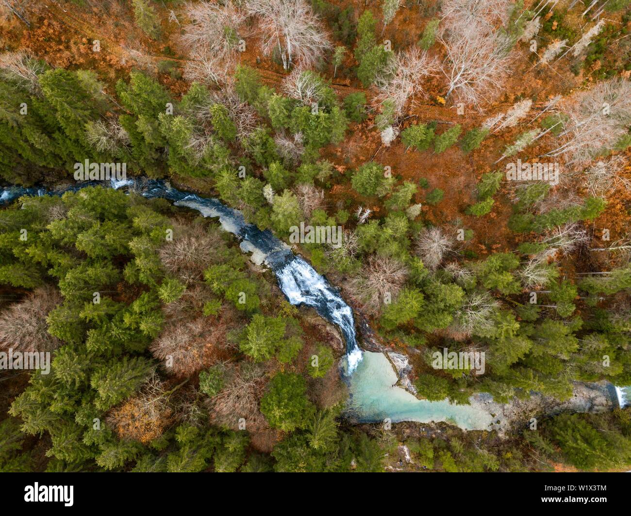 Obernachkanal Cascade, forêt mixte avec rivière de montagne en automne à partir de ci-dessus, drone abattu, bird's eye view, Upper Bavaria, Bavaria, Germany Banque D'Images