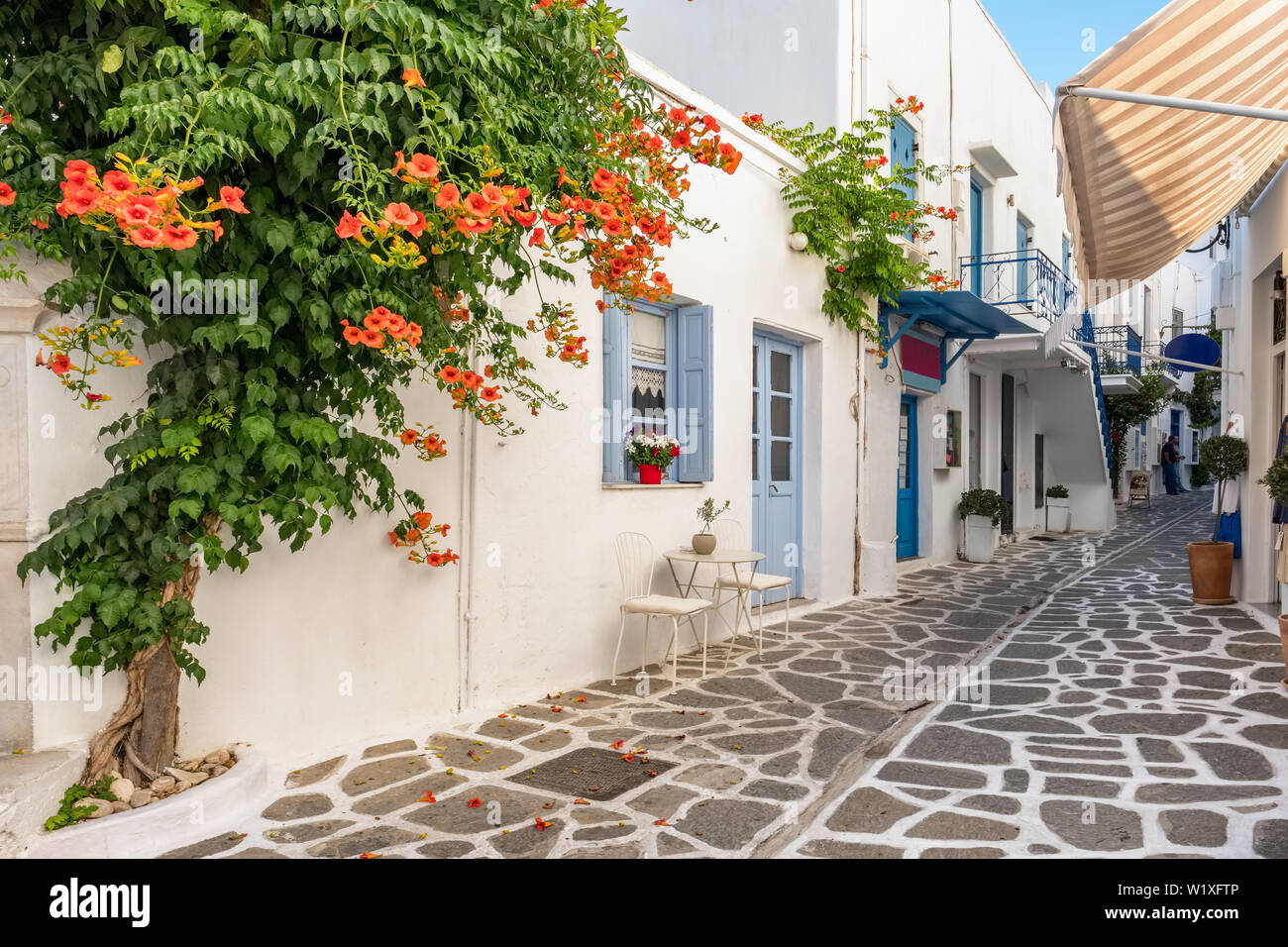 Vue typique d'une rue étroite dans la vieille ville de Parikia, Paros, Grèce Banque D'Images