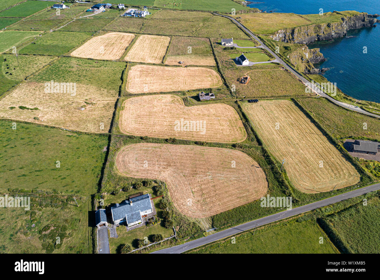 Vue aérienne des terres agricoles avec des champs fauchés et fraîchement coupée, l'île de Valentia, comté de Kerry, Irlande Banque D'Images