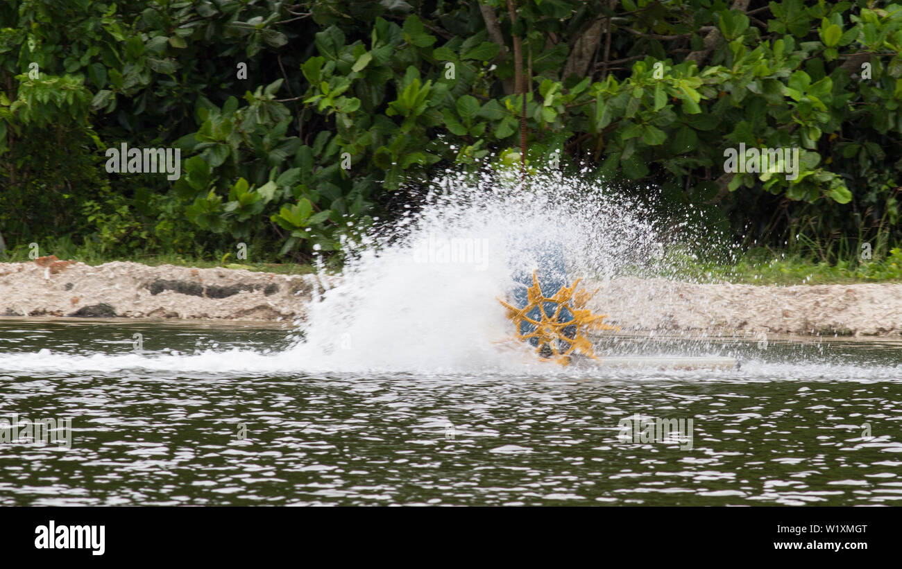 Étang de crevettes waterwheel aérer l'eau Banque D'Images