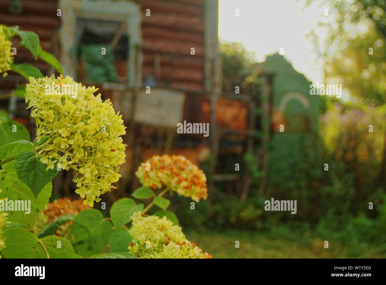 Maison rustique en bois, en automne, la Russie Banque D'Images