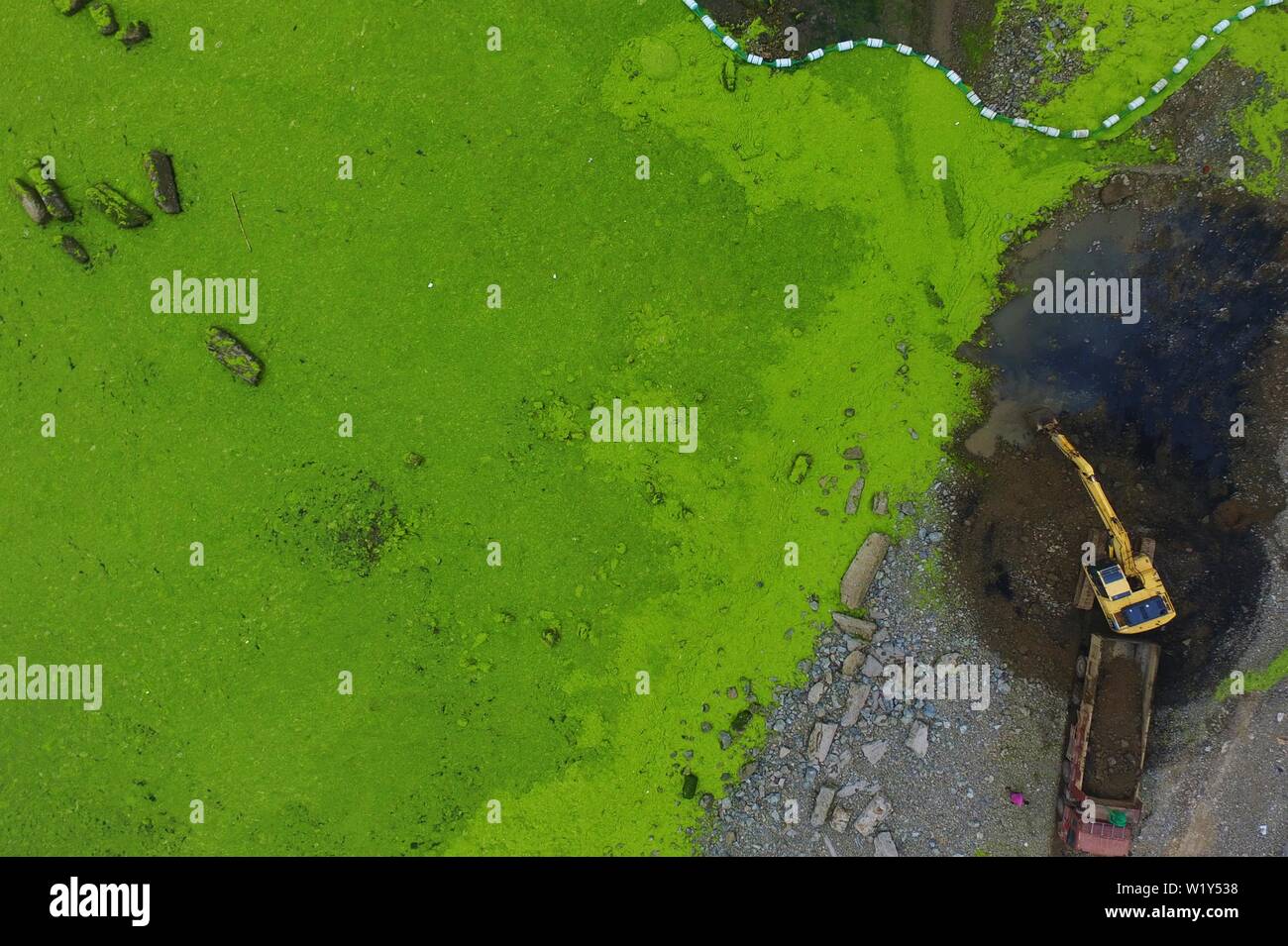Linyi, Shandong, Chine. 4 juillet, 2019. Shandong, Chine - juillet4 2019 : une grande zone de marée verte a touché terre sur la côte est de Qingdao, shandong province.Certaines zones de reproduction de pêcheurs ont été affectés dans une certaine mesure.Selon les dernières informations de suivi publié par la direction générale de Beihai le ministère des Ressources naturelles, de la zone de distribution de la marée verte Enteromorpha dans la mer de Bohai a dépassé 50 000 kilomètres carrés, couvrant environ 477 kilomètres carrés. Crédit : SIPA Asie/ZUMA/Alamy Fil Live News Banque D'Images