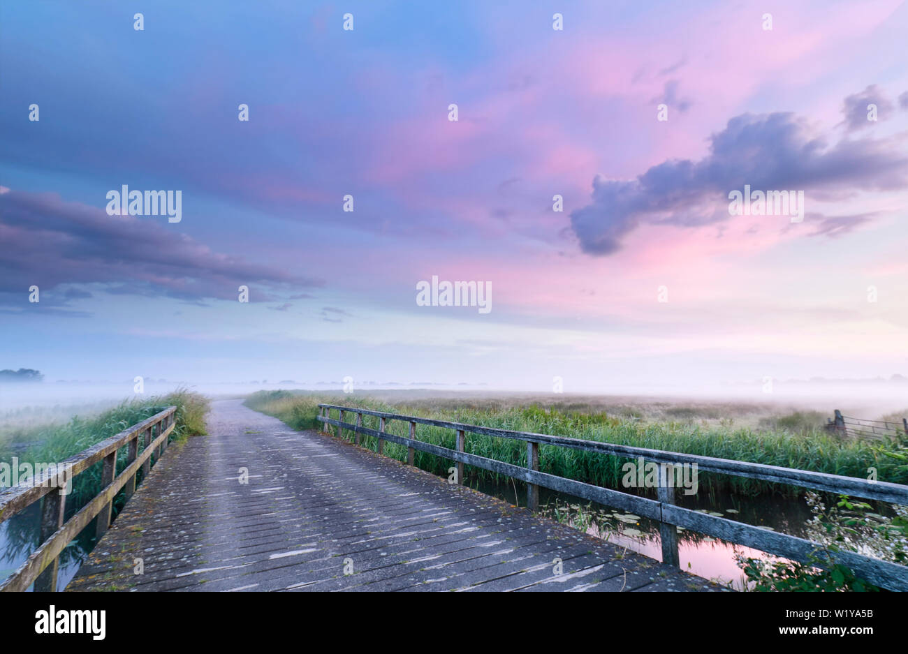 Bridge road à belle rose misty sunrise, Pays-Bas Banque D'Images