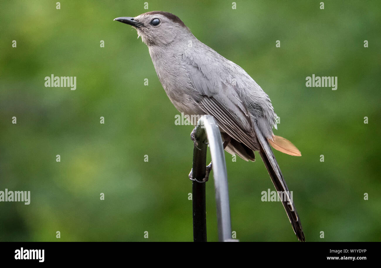 En haut Banque D'Images
