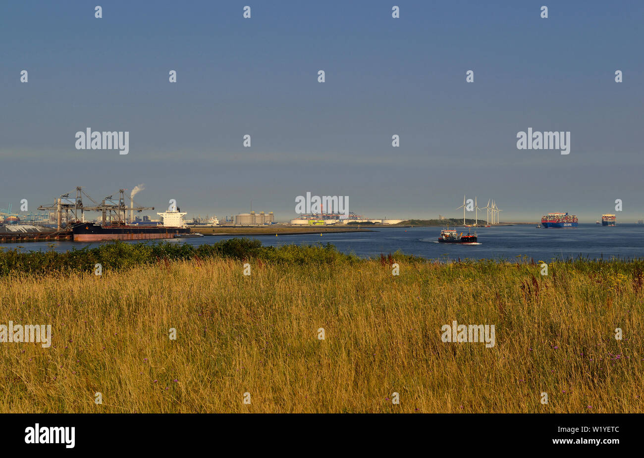 Port de Rotterdam, Pays-Bas - 2018.07.24 : bulkcarrier nightkiss ( OMI no 9696113 ) Exercice de minerai de fer pour l'industrie sidérurgique allemande à eecv / ertso Banque D'Images