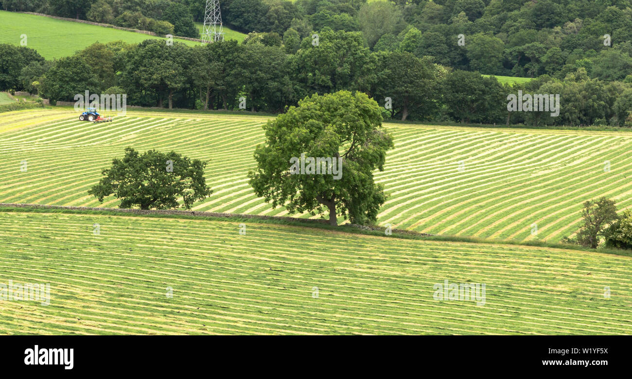 Un agriculteur coupe l'herbe dans les champs de Baildon, Yorkshire. Banque D'Images