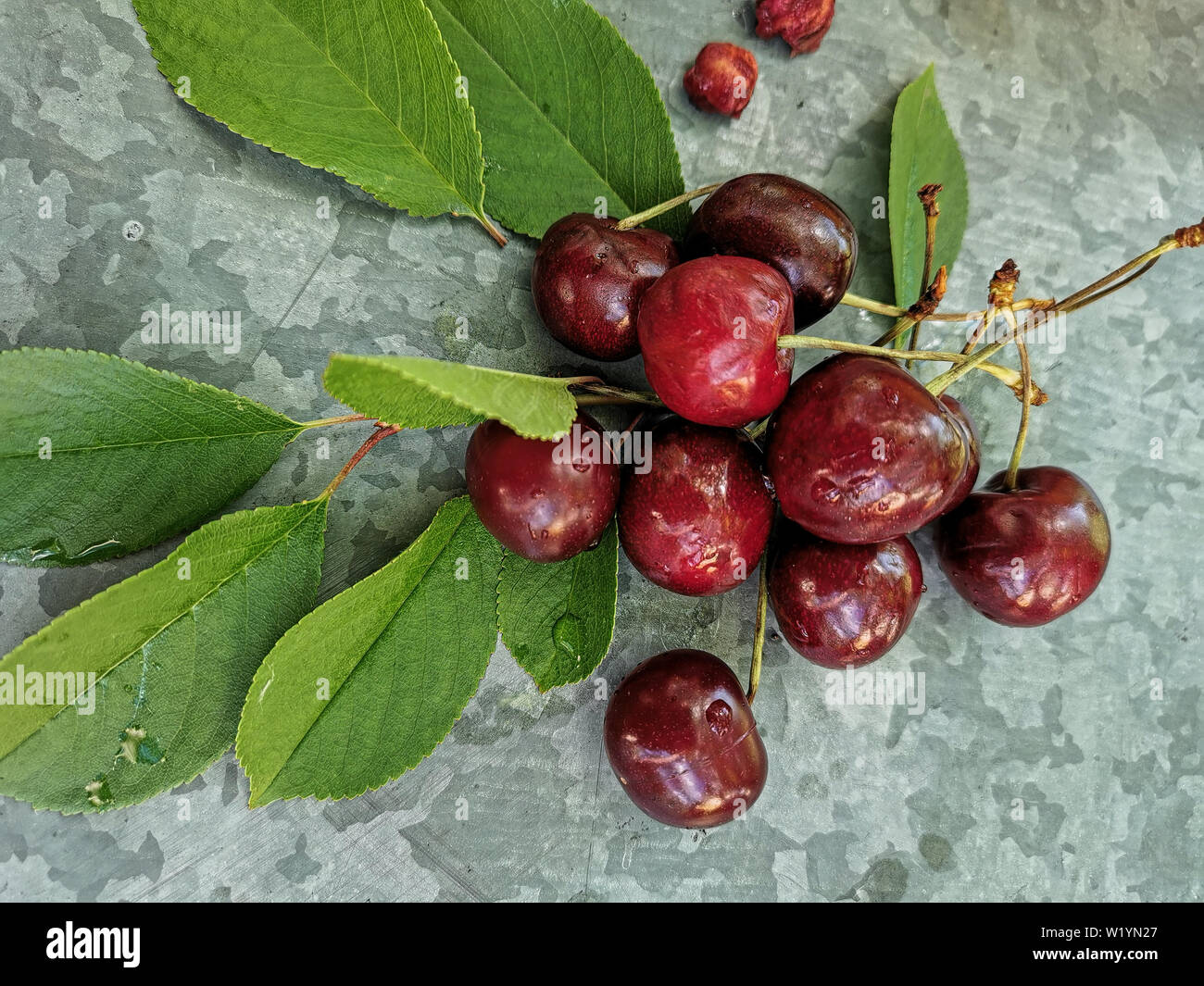 Belle cerise sur le tableau et sur la soucoupe. Des cerises et des noyaux de cerise, de puits sur une plaque Banque D'Images