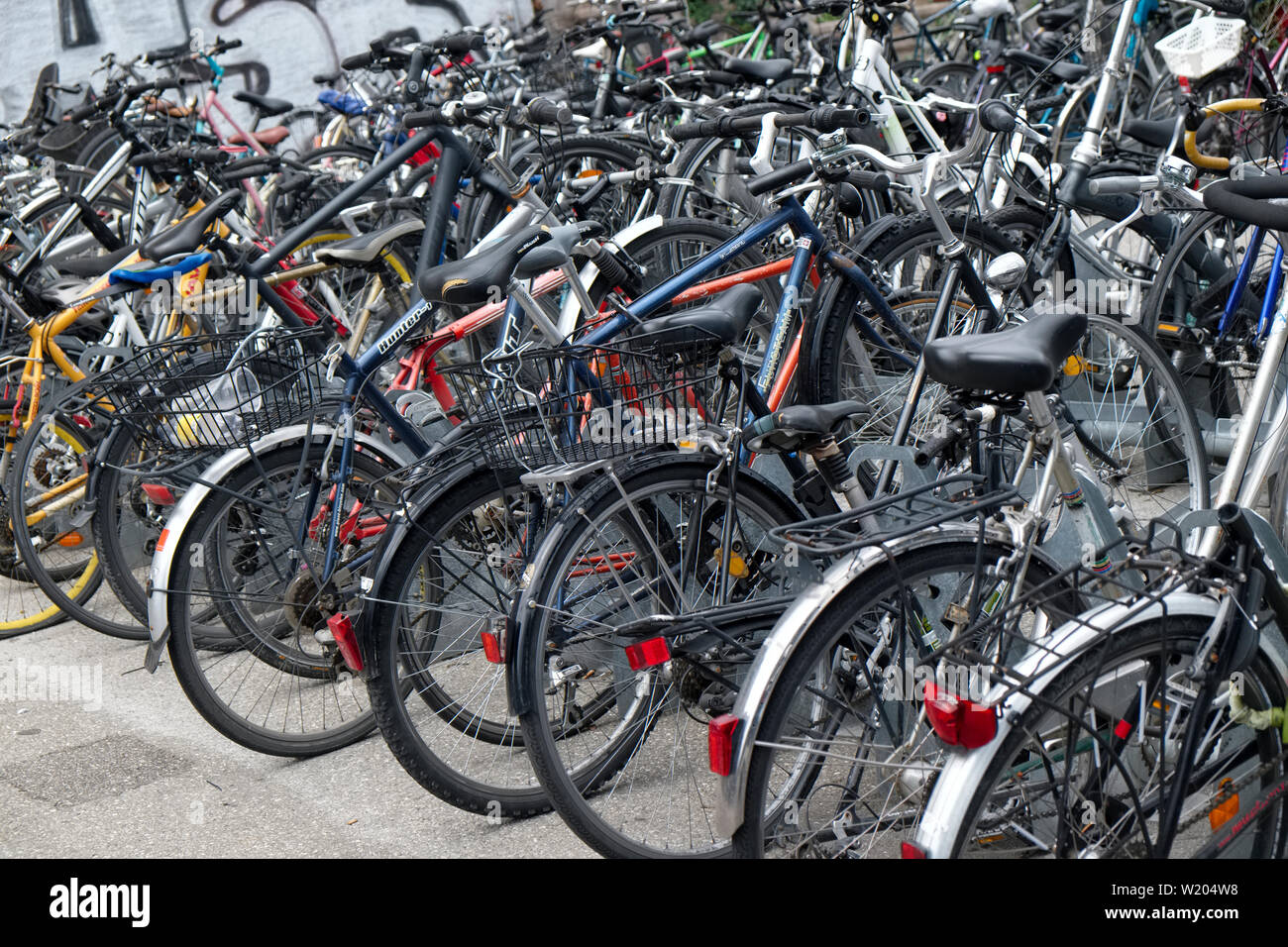 Prêt de vélos garés dans un parc à côté de la gare de Cornavin à Genève  Suisse Photo Stock - Alamy