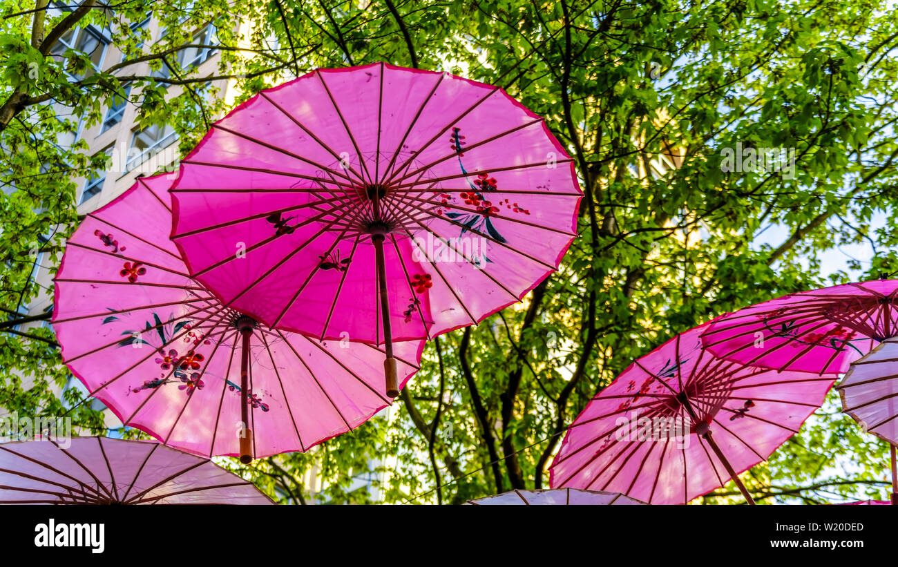 Decorative art moderne de parapluies asiatiques suspendues à des arbres dans la belle Yaletown de Vancouver, British Columbia, Canada Banque D'Images