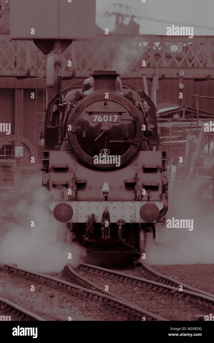 Les images prises à la ligne de cresson au cours de la 'guerre à la ligne' événement dans le Hampshire. Banque D'Images