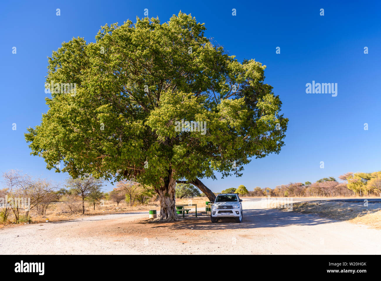 Toyota Hilux pick-up garé sous un arbre pour l'ombre, la Namibie Banque D'Images