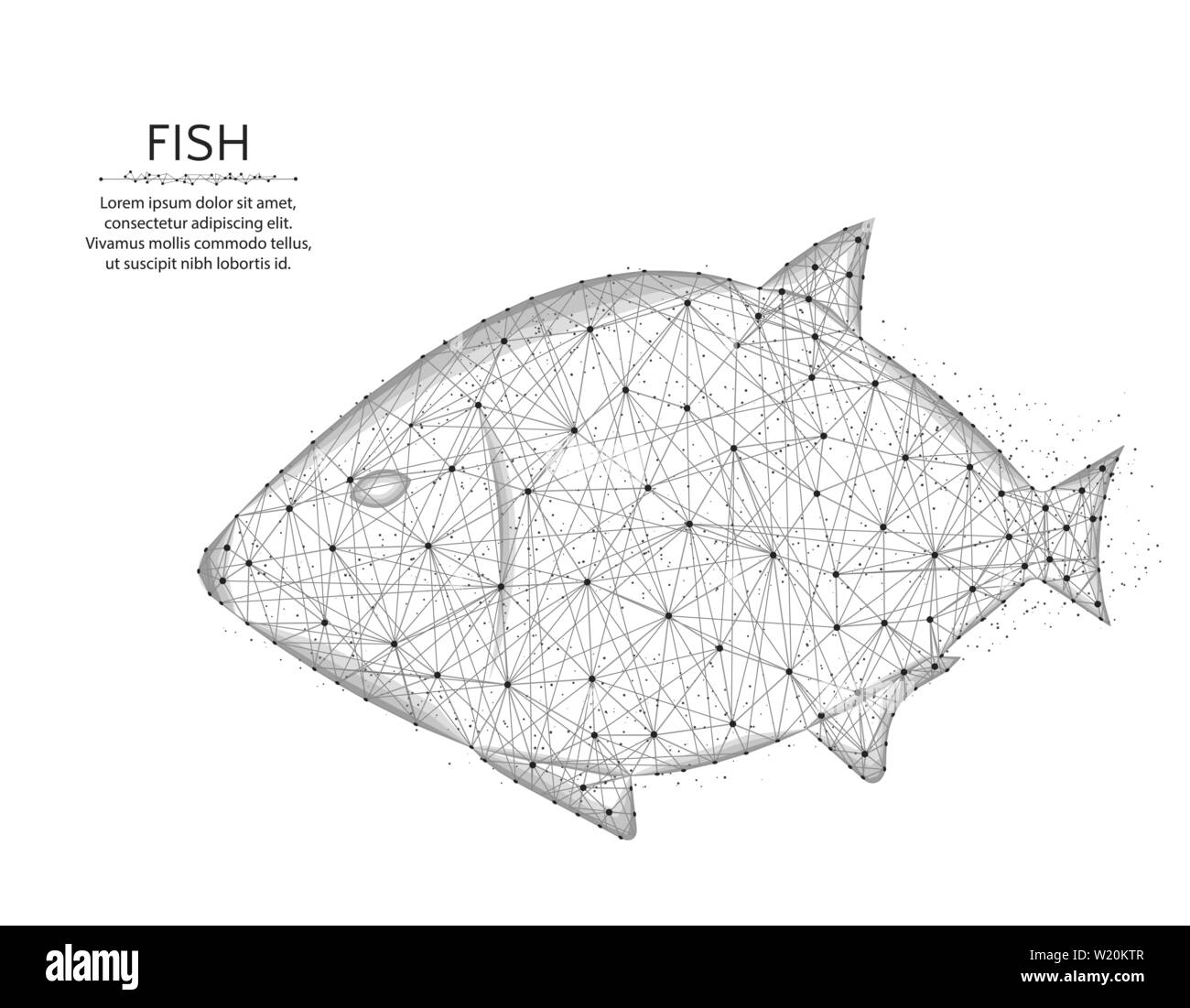 Peu de poisson, animal en poly design style polygonal, l'Underwater world wire frame vector illustration sur fond blanc Illustration de Vecteur