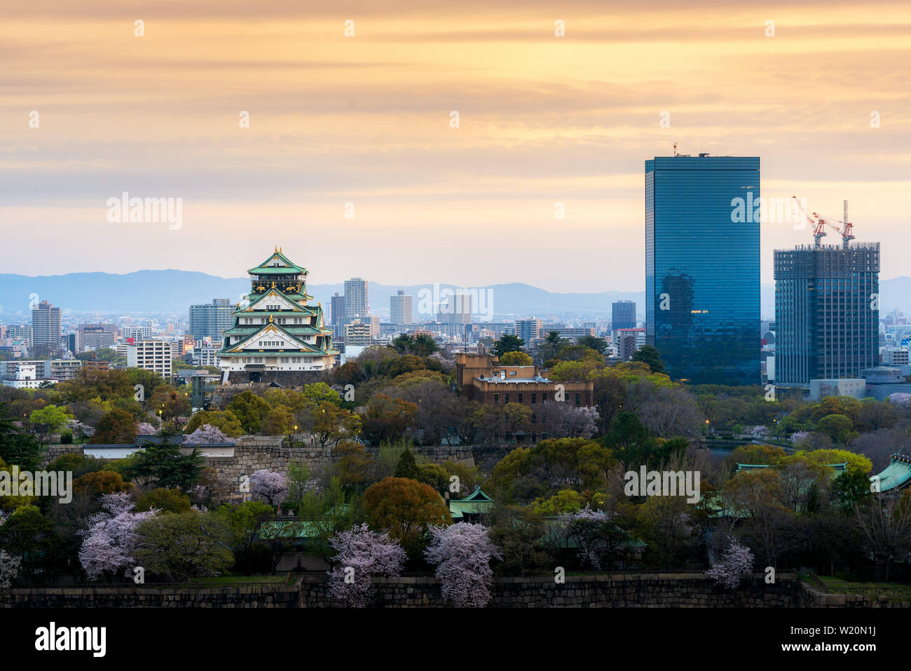 Le château d'Osaka avec fleur de cerisier et le Centre d'affaires dynamique du contexte à Osaka, Japon. Banque D'Images