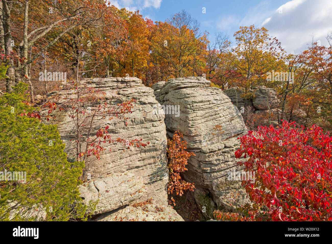 Un promontoire rocheux niché dans la forêt d'automne on Indian Point dans le Jardin des Dieux à Shawnee National Forest dans le sud de l'Illinois Banque D'Images