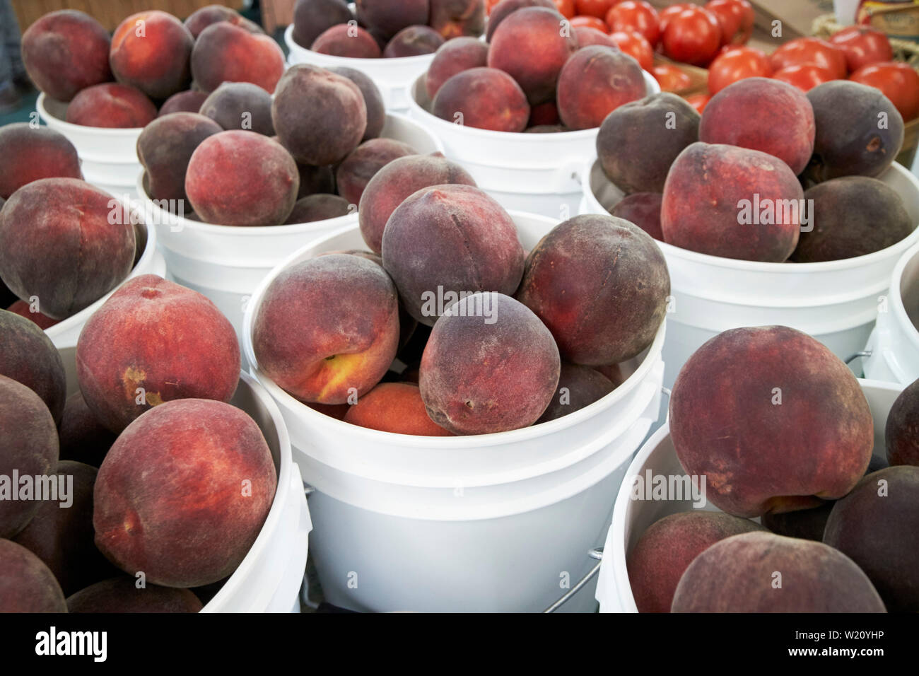 Seaux de Georgia peaches en vente sur une ferme près de athens georgia usa Banque D'Images