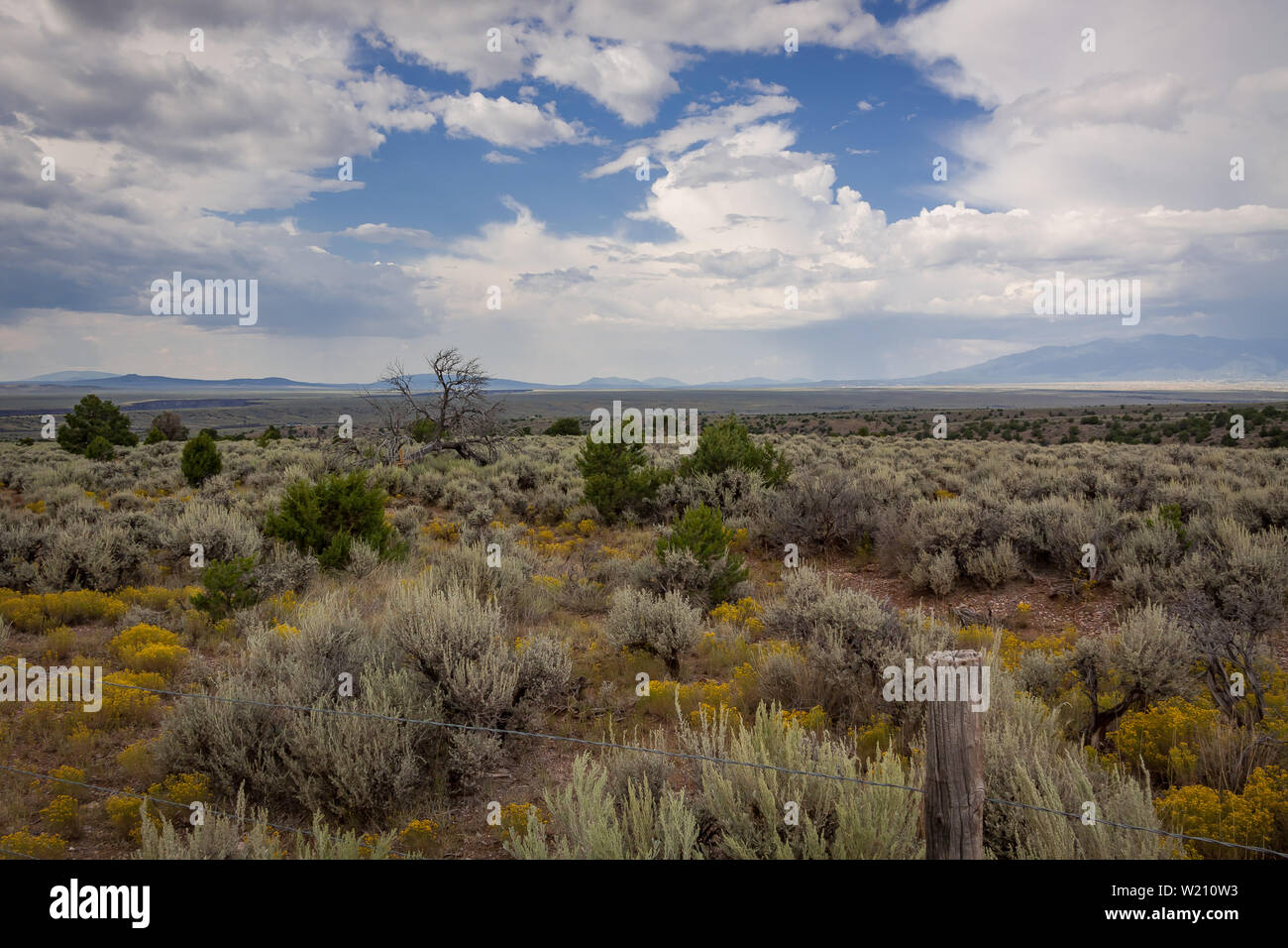 À la recherche dans le grand désert au sud de Taos au Nouveau-Mexique plein de sauge, un arbre mort, un mémorial, et le Rio Grande gorge et la pluie dans la distance Banque D'Images