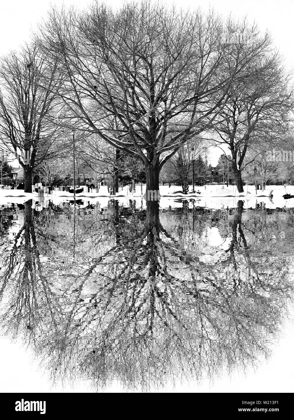 Reflet dans l'eau - 2 Banque D'Images