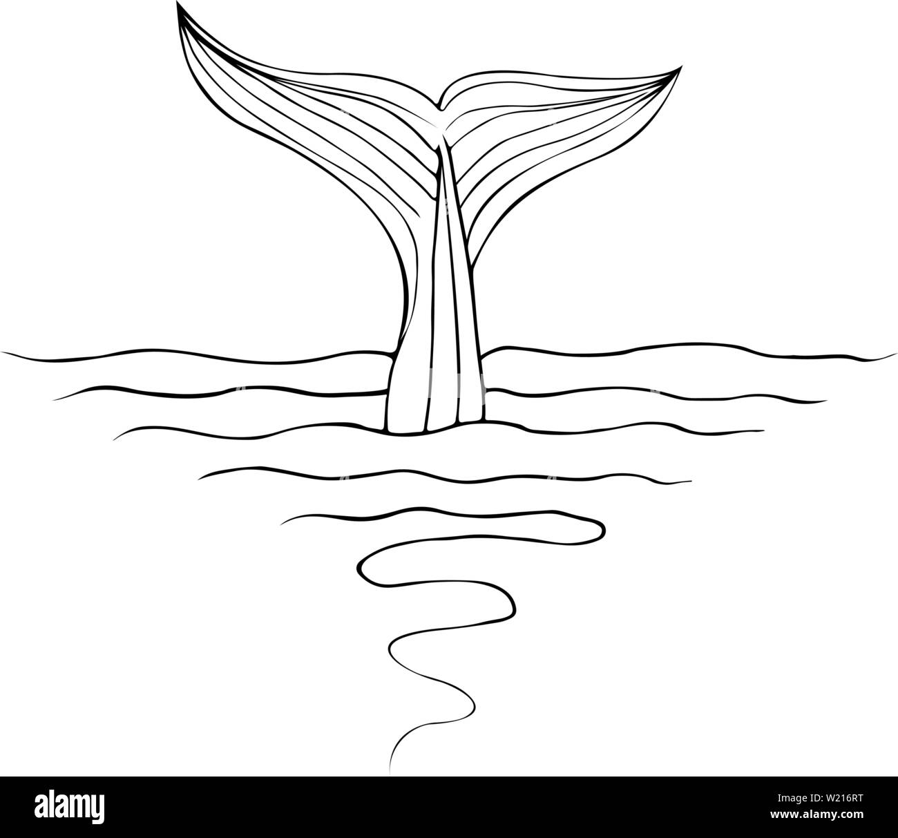 Abstract hand drawn whale tail isolé sur fond blanc. Vector illustration. Croquis du dessin au trait. Illustration de Vecteur