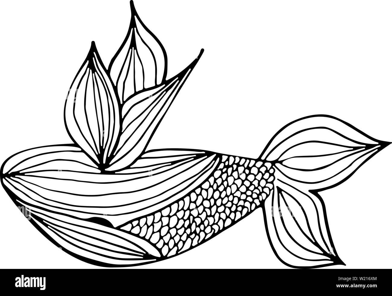 Abstract hand drawn whale isolé sur fond blanc. Vector illustration. Contour. Croquis du dessin au trait. Illustration de Vecteur