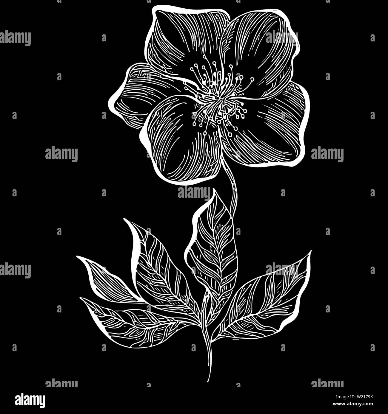 Hand drawn dog rose fleur icône contour isolé sur fond noir. La mode de luxe concept créatif logo icône. Hand Drawn vector illustration. D Illustration de Vecteur