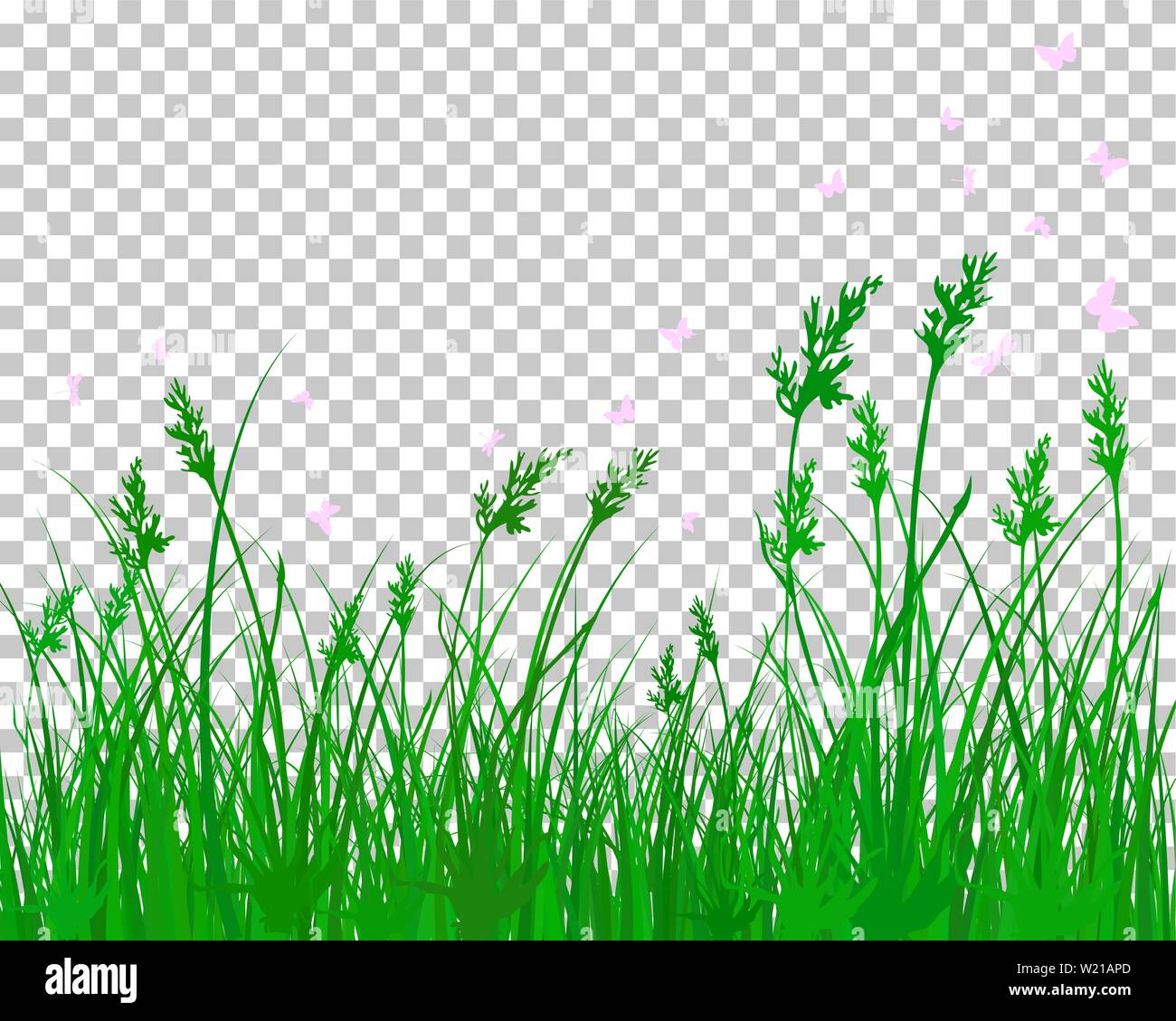 Summer meadow background. Illustration vecteur EPS 10 sans transparence. Illustration de Vecteur