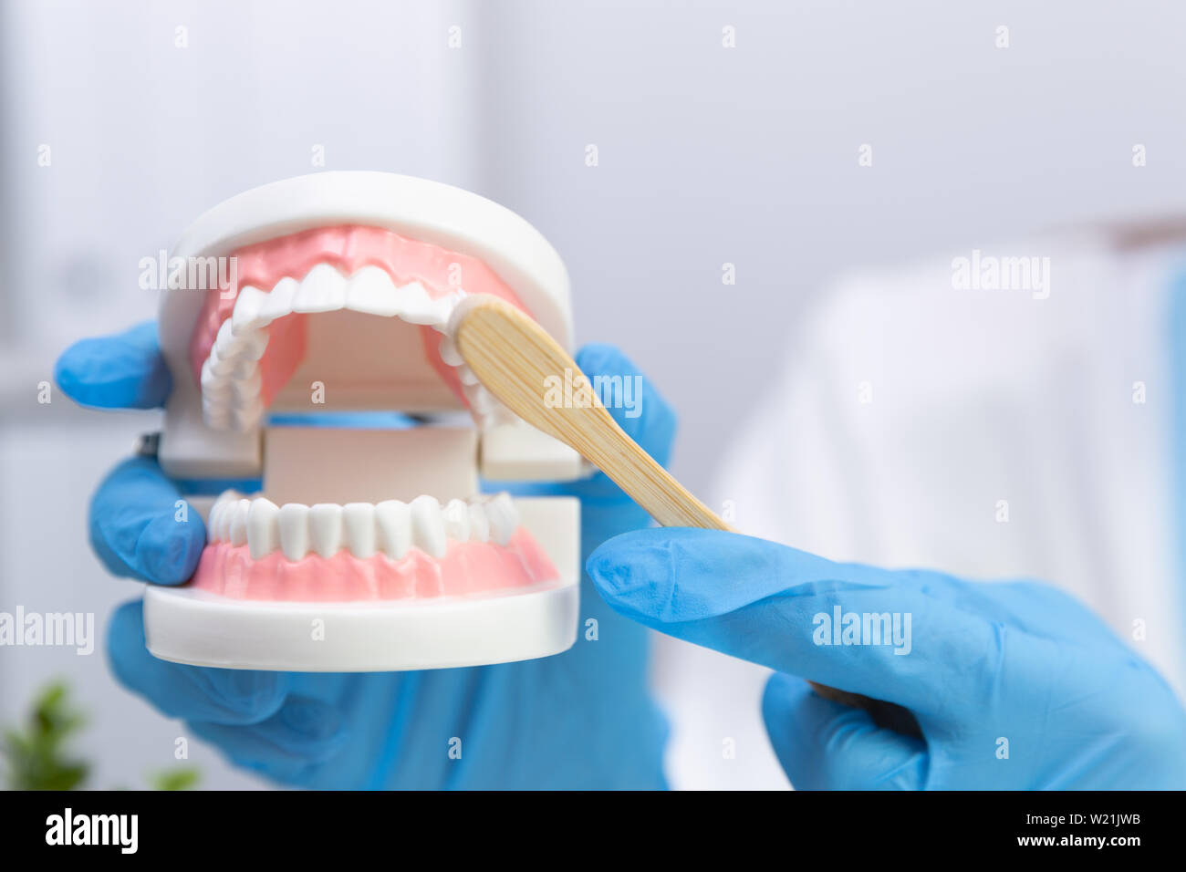 Femme dentiste expliquer au sujet de se brosser les dents en clinique, tenant une brosse à dents et des dents modèle. L'hygiène dentaire et la santé avec concept d'experts Banque D'Images