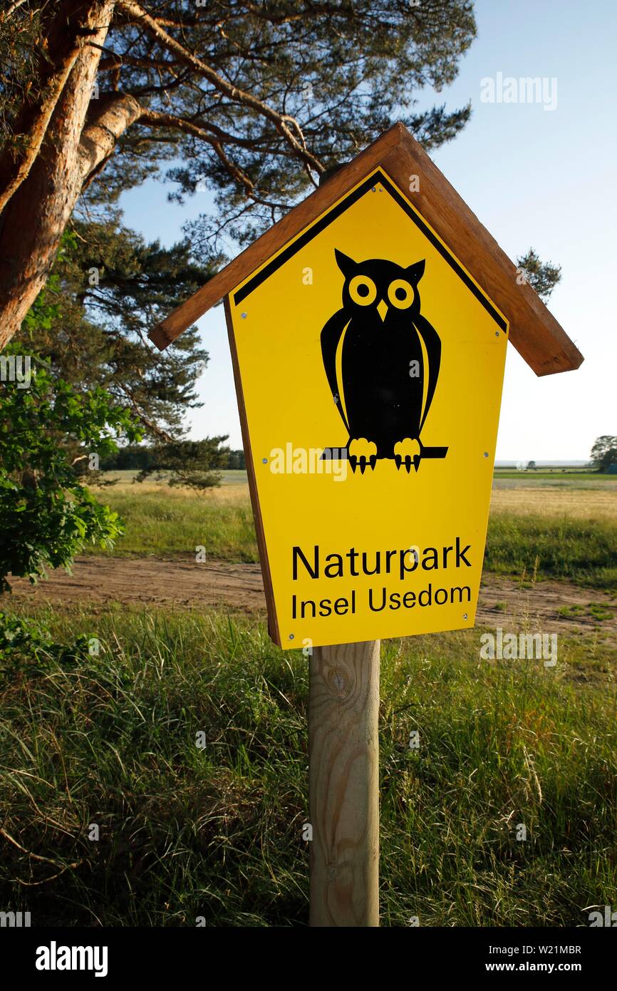 Inscrivez-nature park Park Island Usedom, Mecklembourg-Poméranie-Occidentale, Allemagne Banque D'Images