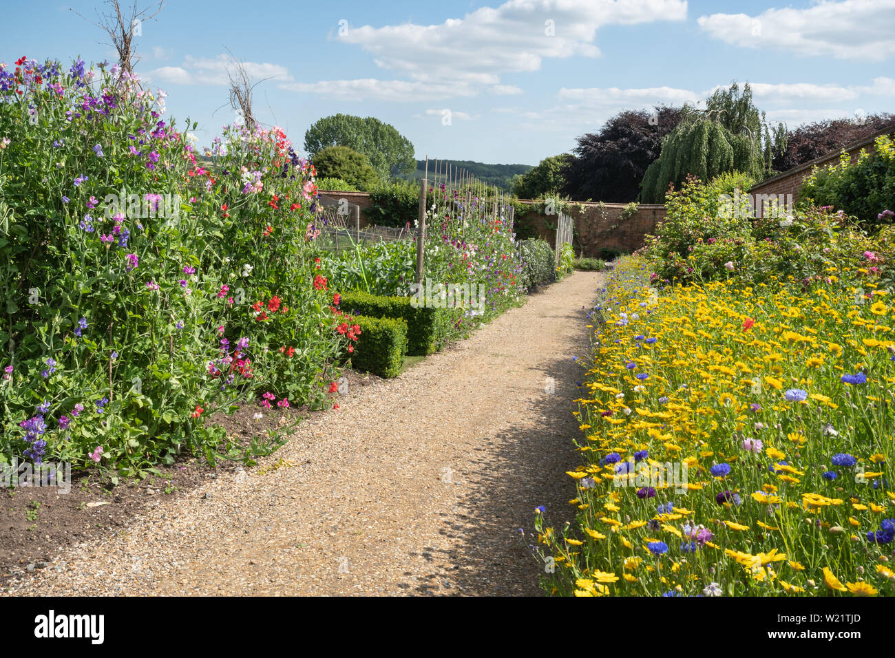 Les murs des jardins familiaux à Titsey Place country estate dans Surrey, UK, sur une journée ensoleillée Banque D'Images