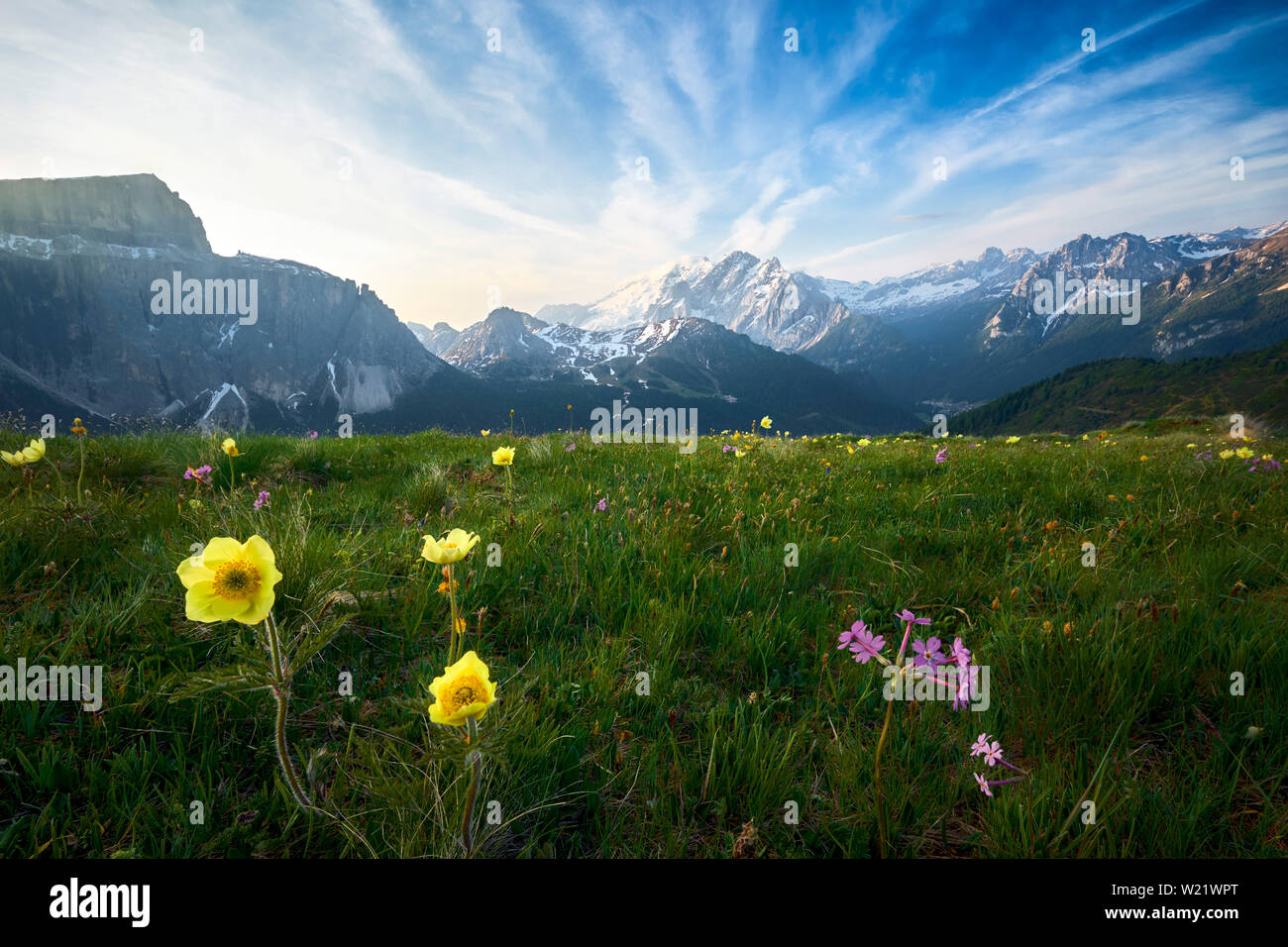 Dolomiti meadows (Italie) Banque D'Images
