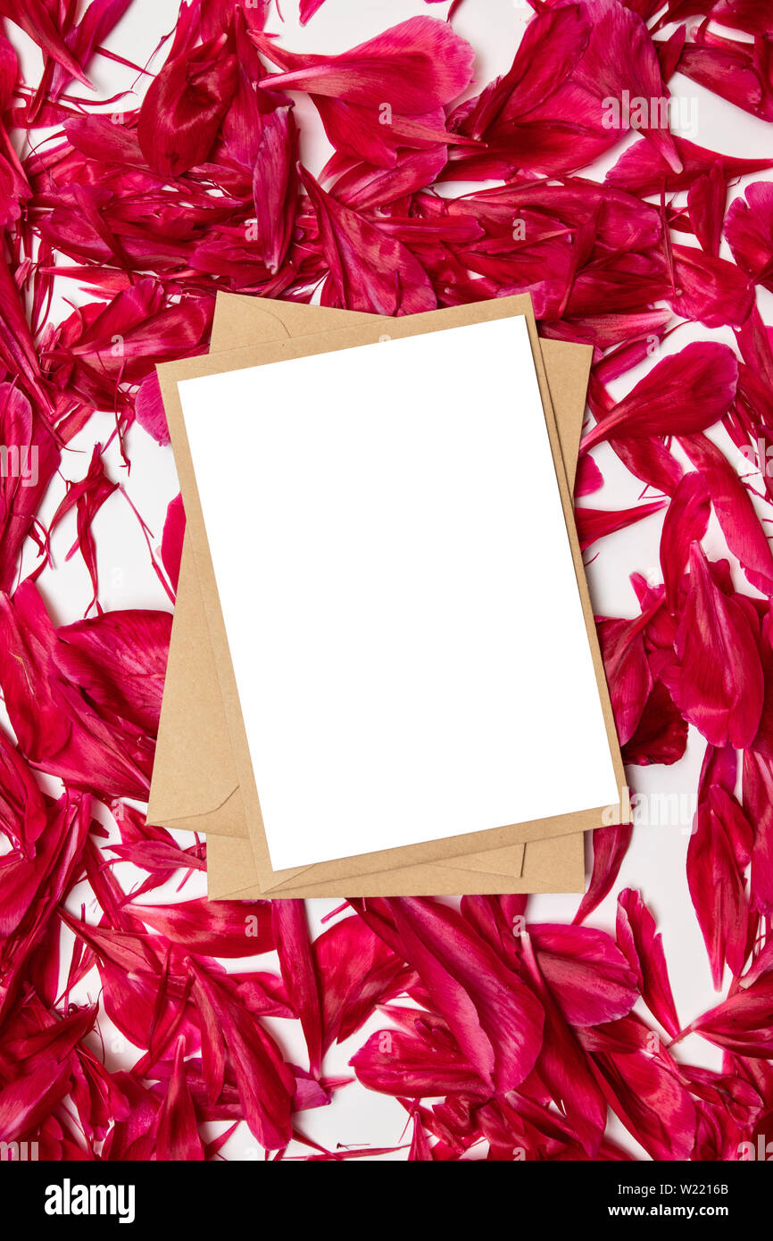 Le papier blanc et de l'enveloppe rouge avec pétales de pivoines sur fond gris Banque D'Images