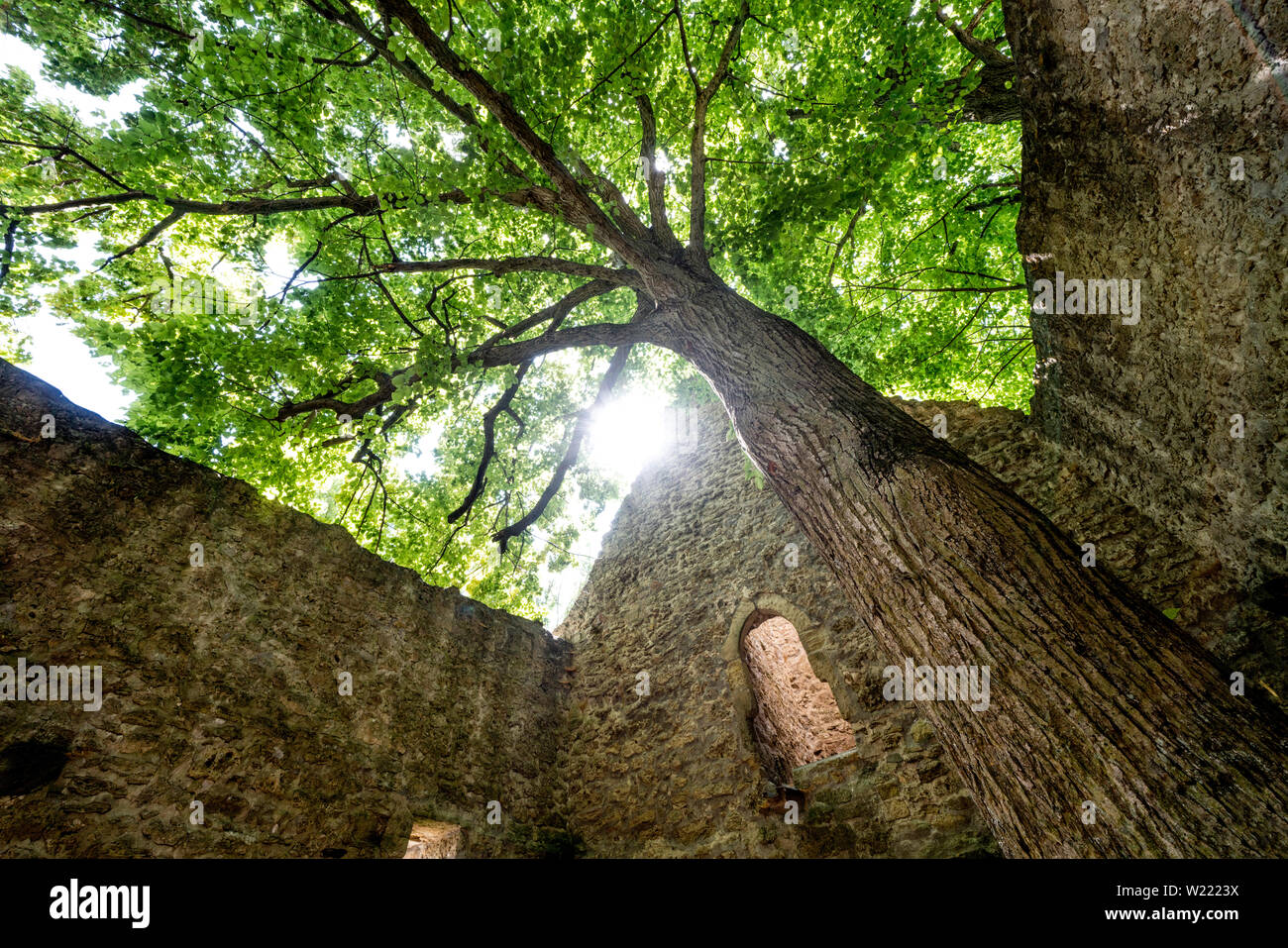 Ancienne église paroissiale protestante de Abterode, Werra-Meissner district, Hesse, Germany, Europe Banque D'Images