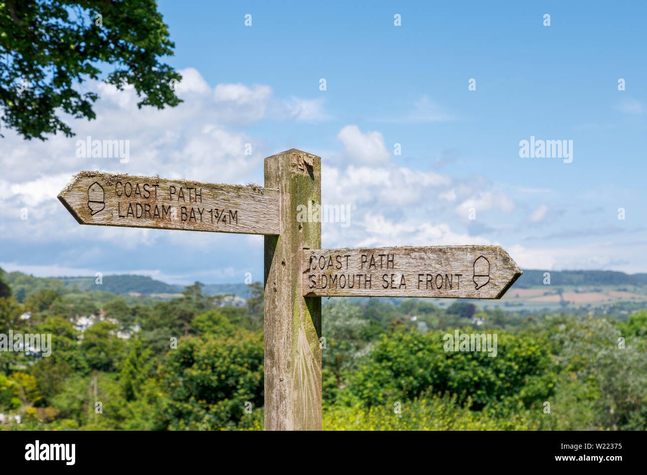 Panneau fingerpost traditionnel en bois sur le South West Coast Path, Peak Hill (High Peak), Greenbottom, une ville balnéaire de la côte sud du Devon, Angleterre SW Banque D'Images