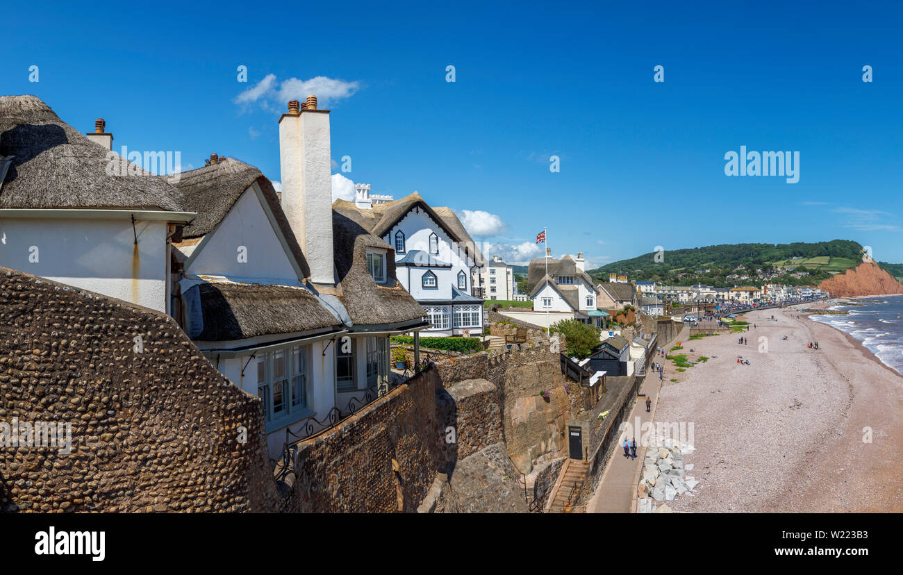 Chaumières historique avec vue sur la mer, la plage et le littoral de Sidmouth, une populaire station balnéaire de la côte sud du Devon, au sud-ouest de l'Angleterre Banque D'Images