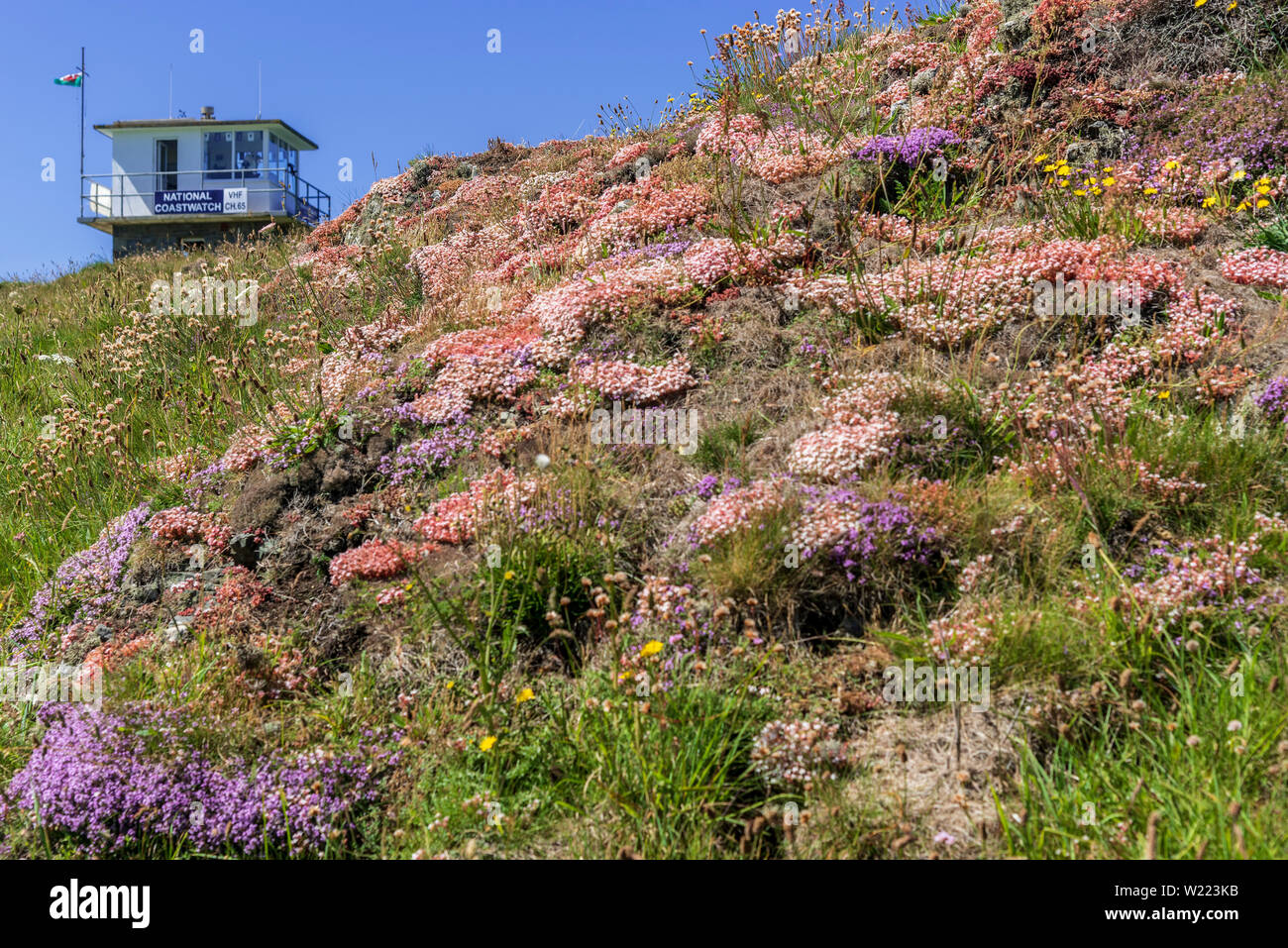 Porthdinllaen. Le Nord du Pays de Galles. Banque D'Images