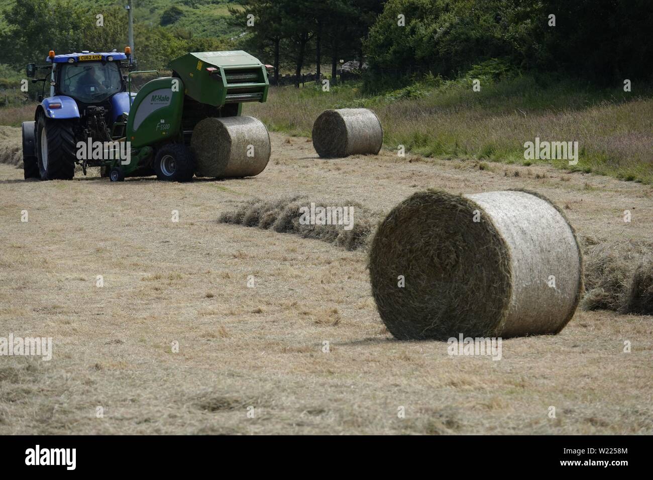 Gower, Swansea, Pays de Galles, Royaume-Uni. 5 juillet 2019. Météo : le foin pendant que le soleil brille, un agriculteur visite ses champs à son tour couper le foin. L'opération de rotation avant séchage sida la mise en balles, à Broughton sur la côte de North Gower, Galles du sud. Credit : Gareth Llewelyn/Alamy Live News Banque D'Images