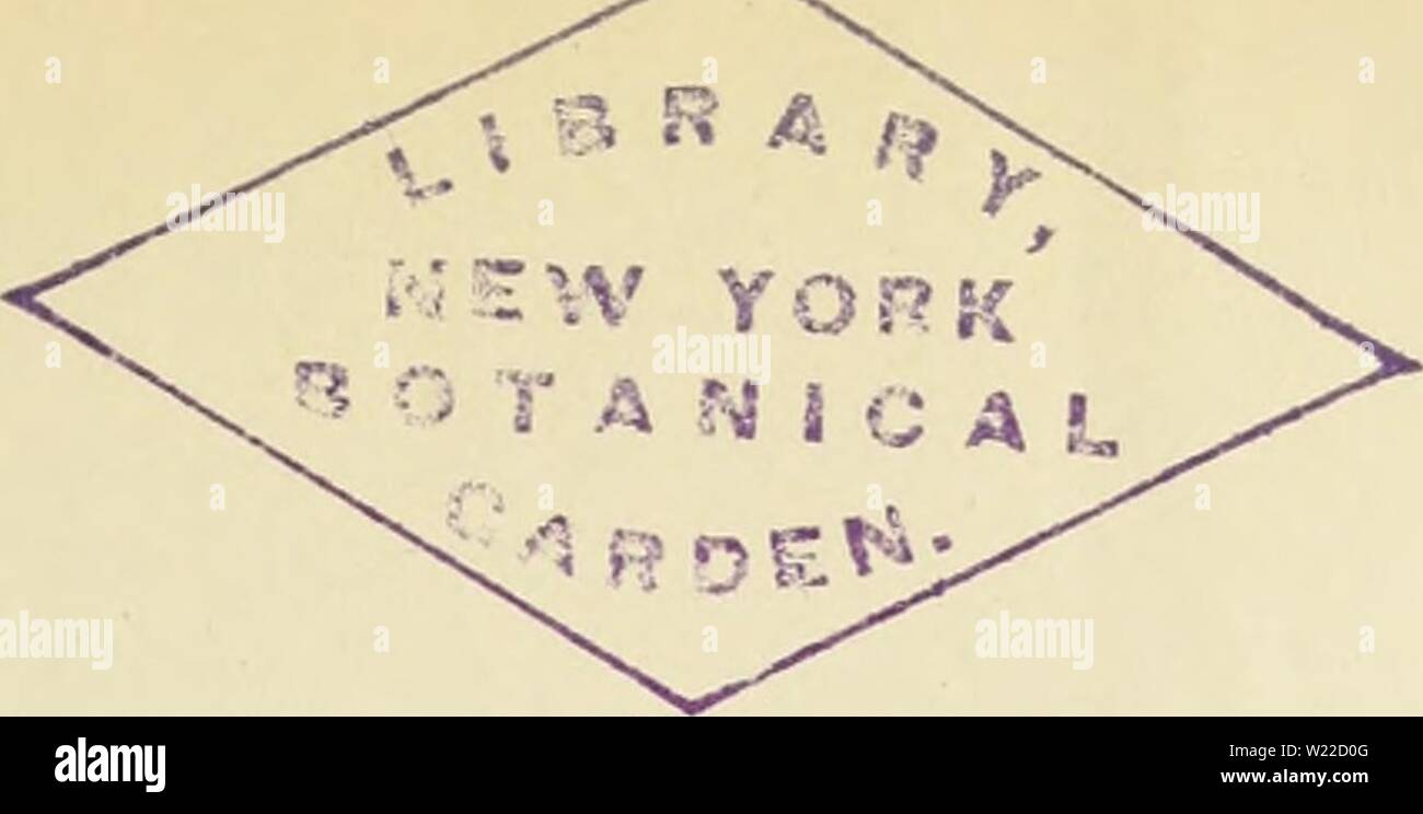 Image d'archive à partir de la page 10 de Cypripedium, Selenipedium & Uropedium Monographie. Cypripedium, Selenipedium & Uropedium. Monographie comprenant la description de toutes les espÃ¨variÃtÃs ces, et hybrides inexistants jusqu'Ã ce jour cypripediumselen00desb Année : Selenipedium INTRODUCTION. Le genre Cypripediuiu aiijourcrhui a conquis la laveur du public, et le nombre de ces plantes a beaucoup augmentÃpar suite des semis que tonne en a faits depuis vingt ans, à telle enseigne que l'on a quelque peine à se retrouver au milieu des espÃ¨ces et de leurs variÃtÃs difficultÃexiste this ; surtout pour ceux Banque D'Images